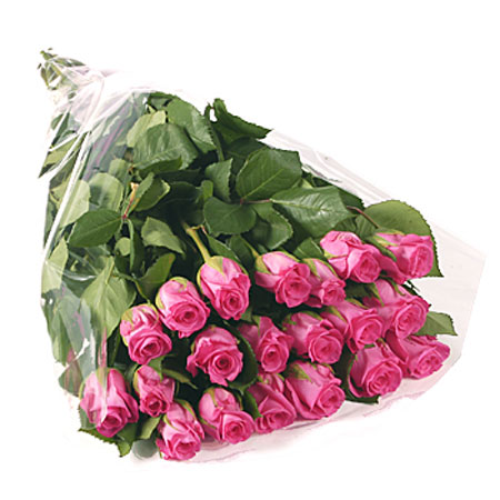 21 роза кишинев